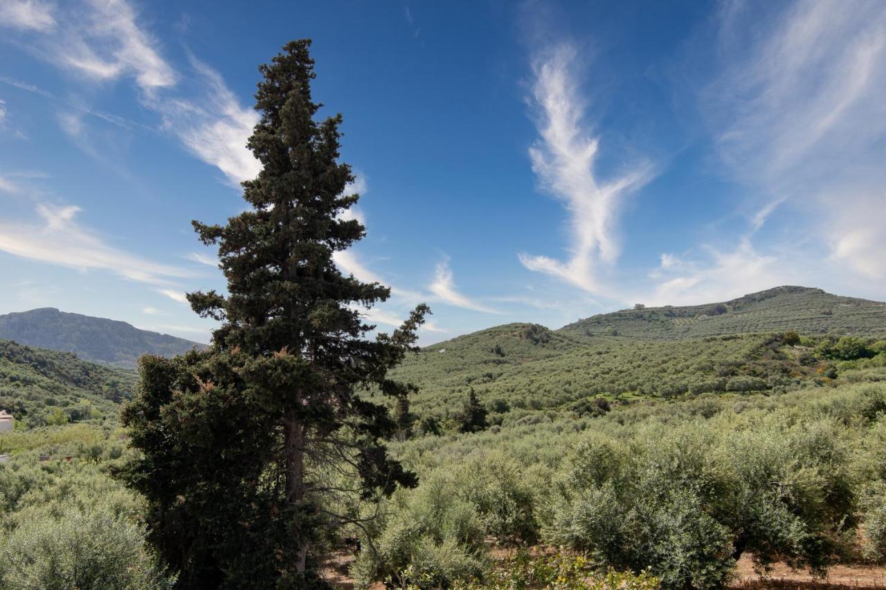 Achilleas Deluxe Αpartment -Pet Friendly-Parking-Mountain View Villa Kotsianá Екстериор снимка