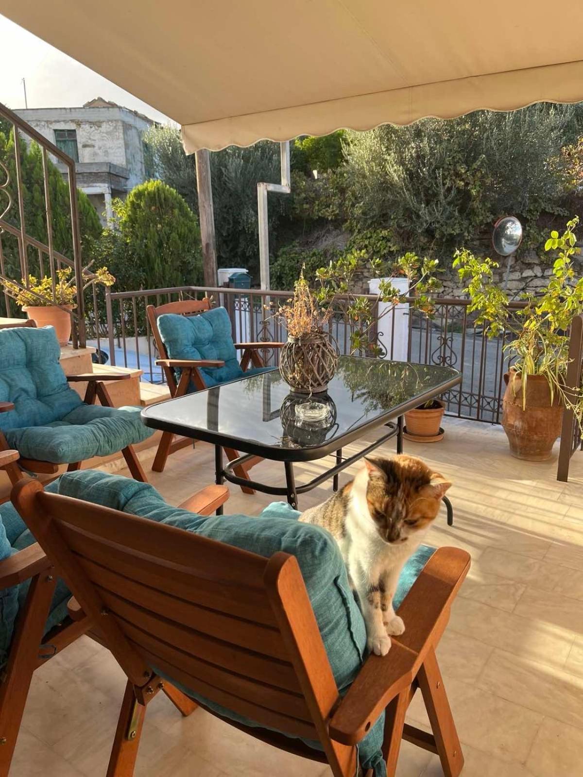 Achilleas Deluxe Αpartment -Pet Friendly-Parking-Mountain View Villa Kotsianá Екстериор снимка