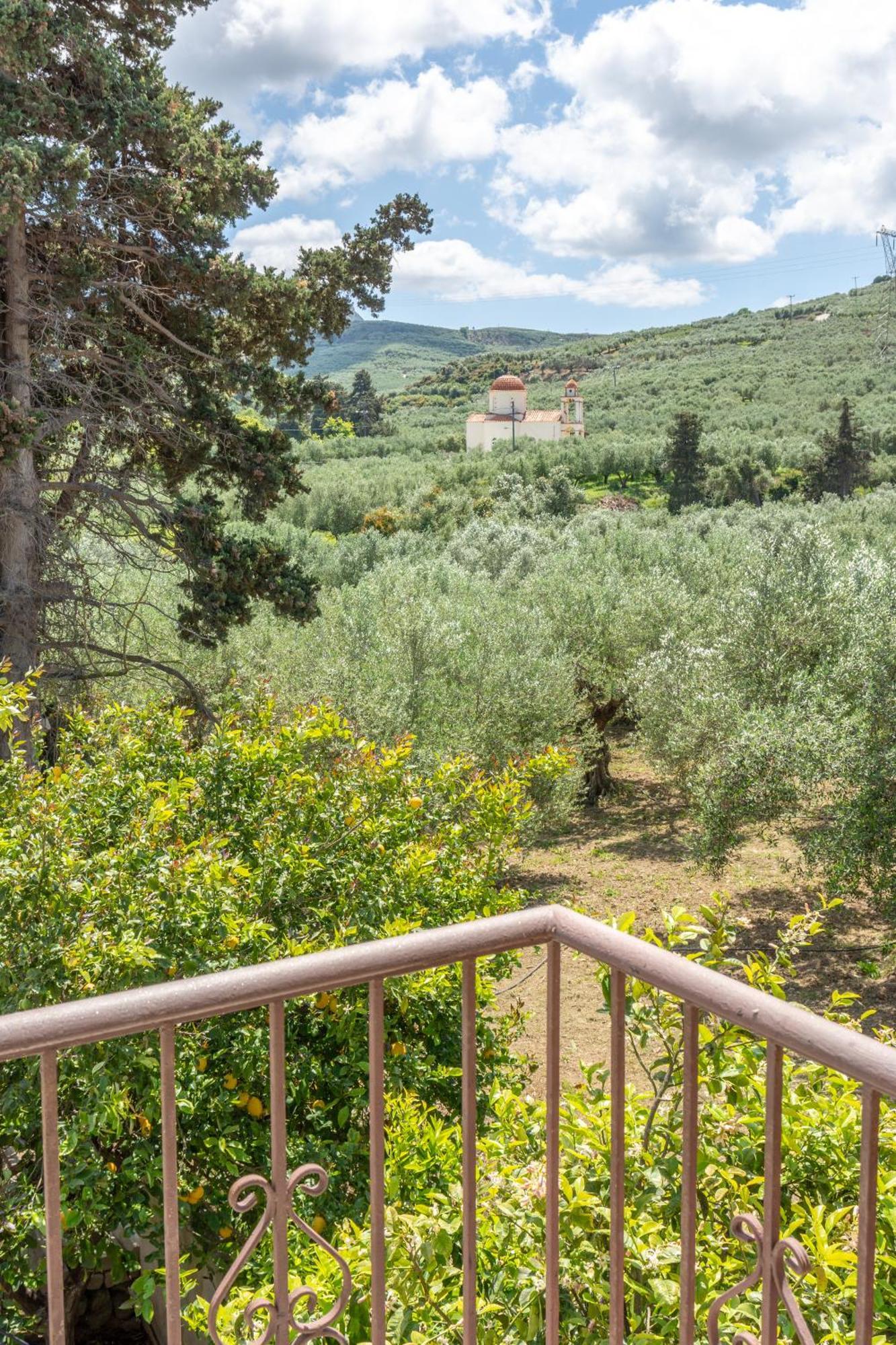 Achilleas Deluxe Αpartment -Pet Friendly-Parking-Mountain View Villa Kotsianá Екстериор снимка